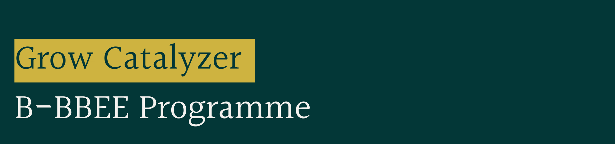 Grow Catalyzer B-BBEE Program-2