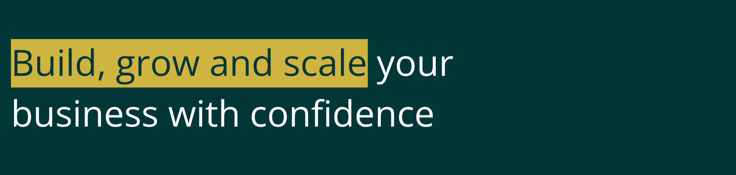 Catalyzer Premium LP 2520x600 (2)